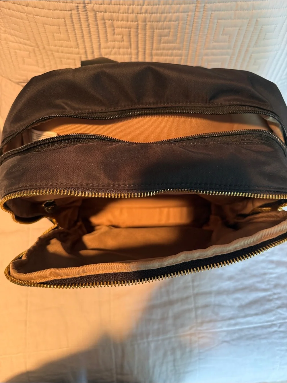 Allancia Black Nylon Backpack with Gold Accent Plaque